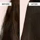 We Are Paradoxx Professional Repair Shampoo 975 ml, image 2