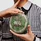 Reuzel Medium Hold pomade Green Grease 340 g, image 3