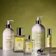 Acca Kappa Green Mandarin body lotion 300ml, image 3