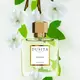 Dusita Cavatina Eau de Parfum 50ml, image 3